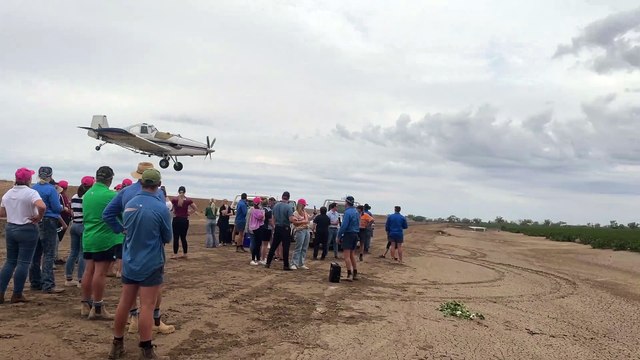 Crop dusting demonstration | March 2023 | Queensland Country Life