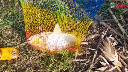 Big Carp Fishing - Fishing Storm