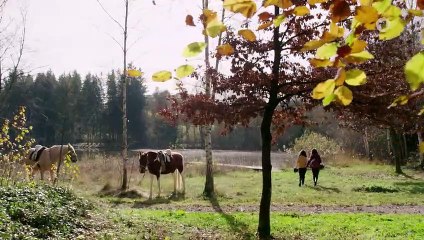 Sturm der Liebe Folge 3993 Ins Leere laufen