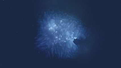 Dustin O'Halloran - Constellation No. 3