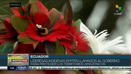 Descargar video: Ecuador: Lideresas indígenas reclaman al gobierno protección para territorios amazónicos