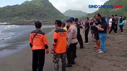 Hiu Tutul Seberat 2 Ton Terdampar di Pantai Suwuk Kebumen