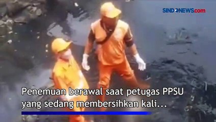 Penemuan Jasad Bayi Laki-Laki di Kantong Plastik, Sempat Dikira Boneka