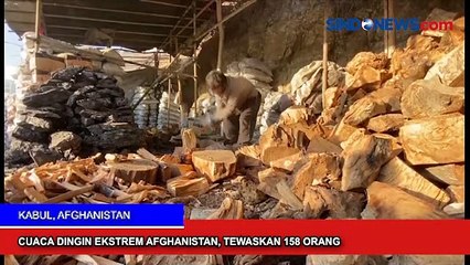 Acungkan Pistol Mainan Remaja Palestina Ditembak Mati Israel dan Presiden Jokowi Soroti Bayi Diiberi Minum Kopi Saset.