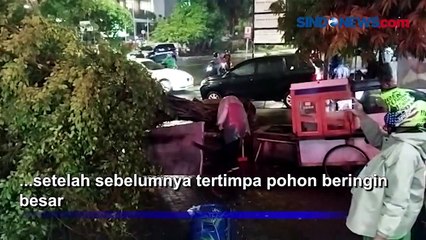 Hujan Angin di Tanjung Priok, Pohon Tumbang Timpa Gerobak Nasi Goreng
