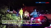 Pohon Tumbang Tutup Ruas Jalan di Gianyar Sebabkan Kemacetan Panjang