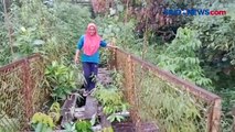 Warga Aceh Buat Video Minta Perbaikan Jembatan Rusak ke Pemerintah