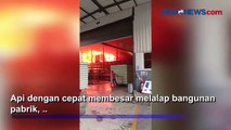 Pabrik Kasur di Bogor Ludes Terbakar, Api Diduga Berasal dari Korsleting Listrik