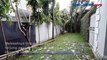 Penerjun Payung TNI AL Mendarat Darurat dan Tersangkut di Pohon Usai Teriup Angin Kencang