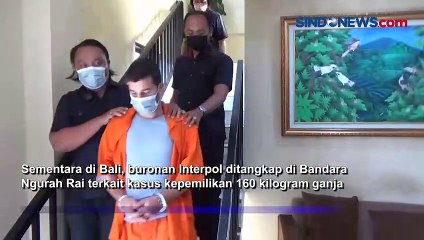 Pemuda Tanam Ganja di Cibinong, Polisi Tangkap Buronan Interpol Pemilik Ratusan Kg Ganja