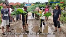 Protes Warga Desa Pranggong Indramayu, Tanam Pohon Pisang di Tengah Jalan Rusak