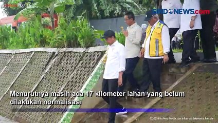Tinjau Kali Ciliwung, Jokowi Targetkan Normalisasi Rampung pada 2024