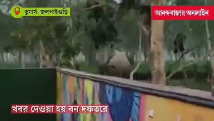 সাতসকালে দলছুট হাতির তাণ্ডব ডুয়ার্সে