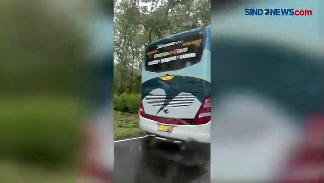 Kecelakaan Moge Tabrak Bus di Baluran, Pengendara Tewas Seketika