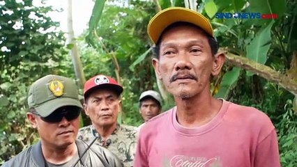 Macing di Sungai, Warga Lumajang Dapat Buaya Ukuran 2 Meter