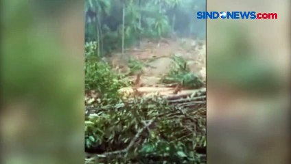 Satu Kampung di Natuna Tertimbun Longsor, Rumah Warga Rata dengan Tanah