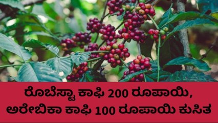 ಕೊಡಗು: ಕಾಫಿ ಬೆಲೆ ಕುಸಿತ; ಸಂಕಷ್ಟದಲ್ಲಿ ಬೆಳೆಗಾರ ..ಹೀಗಿದೆ ರೇಟ್!
