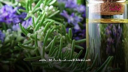 فوائد زيت إكليل الجبل للمنطقة الحساسة