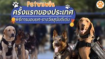 Petพาเพลิน พิธีการมอบยศ-รางวัลสุนัขดีเด่น ครั้งแรกของประเทศ พิธีการมอบยศ-รางวัลสุนัขดีเด่น