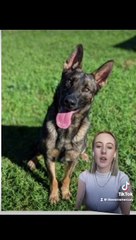 Top 5 court stories from the Illawarra this week