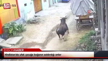 Hindistan'da ufak çocuğa boğanın saldırdığı anlar