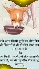 shri krishana ka jivan gyan, Krishna Vani,Krishna Motivational Video,Krishna Vani,vicharo ka sangam (12)
