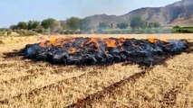 wheat crop caught fire due to short circuit