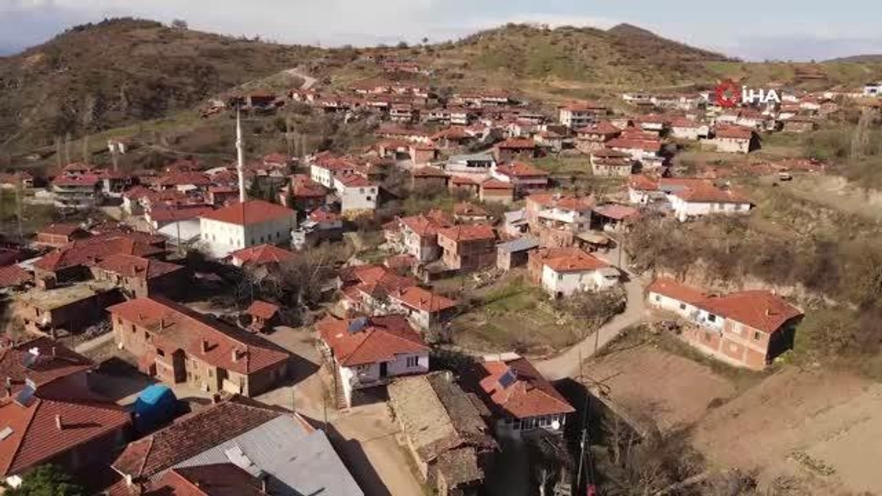 82 yaşındaki Musa amca 57 yıldır ağaçlara şekil veriyor