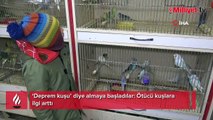 ‘Deprem kuşu’ diye almaya başladılar: Ötücü kuşlara ilgi arttı