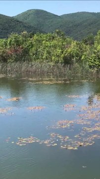 Travel Gems NATURA Monteverdi Riserva naturale Caselli