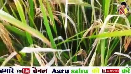 ऐतिहासिक सफर 2019-20 __ Arpa Pairi Ke Dhar __ Aaru Sahu __ Ojasvi Sahu