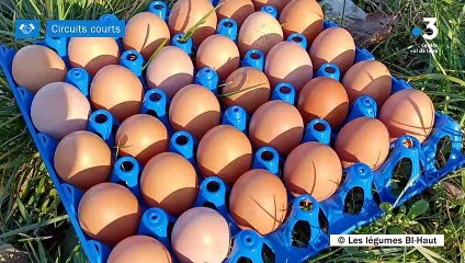 Circuits Courts - Les légumes Bi Haut