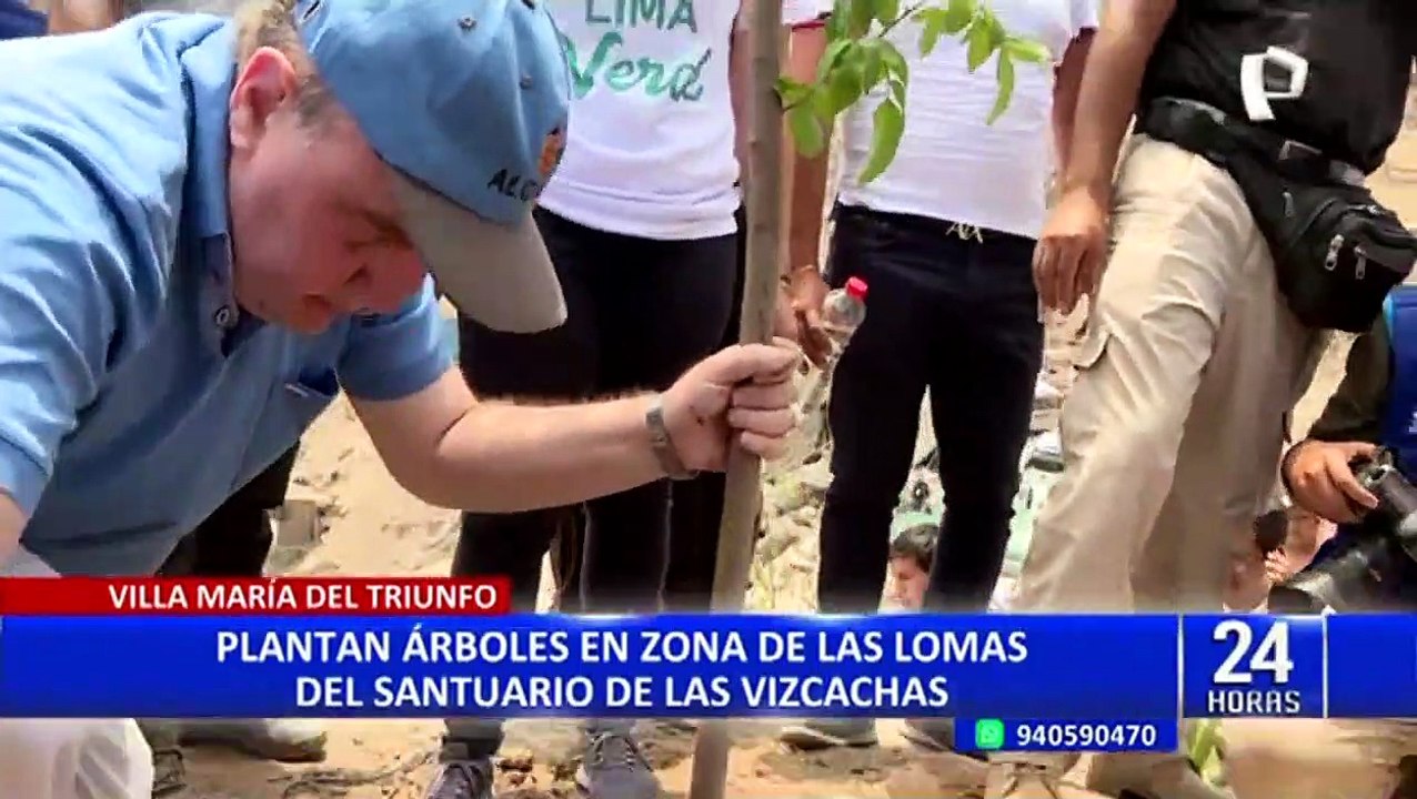 VMT: Inician plan ‘Lima Verde’ sembrando 1 millón de árboles en Loma de las Vizcachas