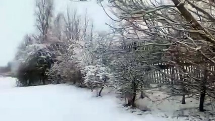 Youngsters experience their first Snow Day: Laura Reid reflects on her son's first snow day