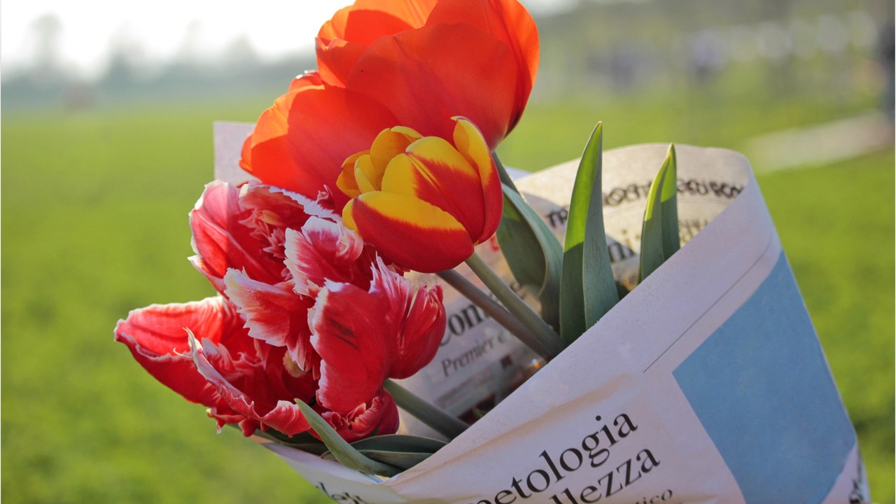 Schlapp direkt nach dem Kauf: So retten Sie den Tulpenstrauß