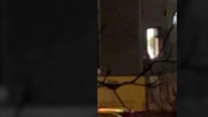 Un testigo graba el momento del tiroteo en Hamburgo