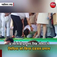 ऊर्जा मंत्री प्रद्युम्न सिंह तोमर ने सिंधिया को किया दंडवत प्रणाम
