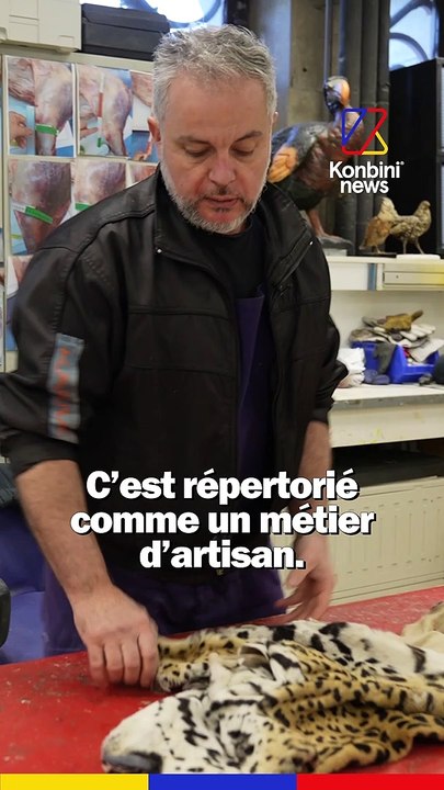 Taxidermiste : leur job, empailler les animaux du muséum d'Histoire naturelle | Good Job