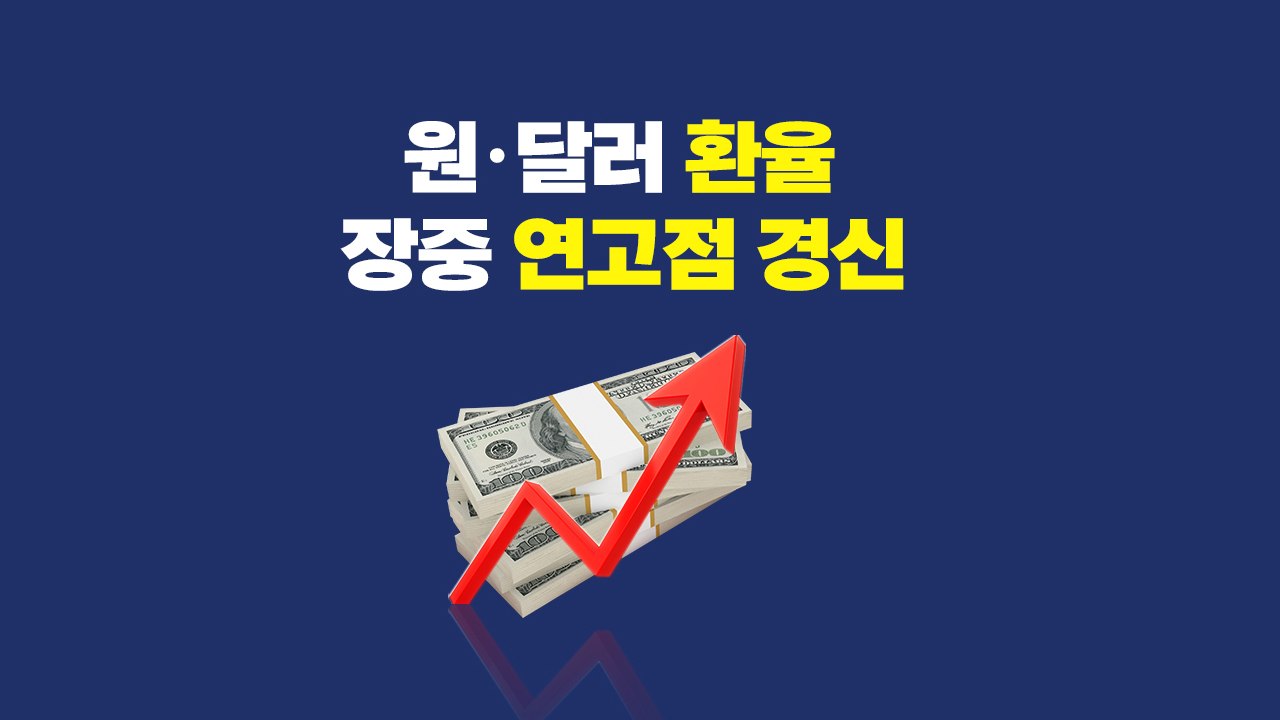원·달러 환율 장중 연고점 경신...주요국 47개국 중 2위 / YTN