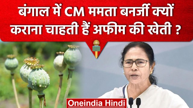 Mamta Banerjee ने अफीम की खेती को लेकर केंद्र को लिखा पत्र | Opium Farming in Bengal |वनइंडिया हिंदी