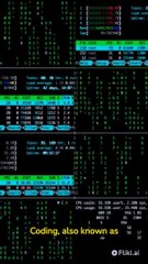 Understanding Coding: What It Is