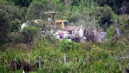 珍珠花园湿地遭工业垃圾污染，候鸟栖息受威胁🦅