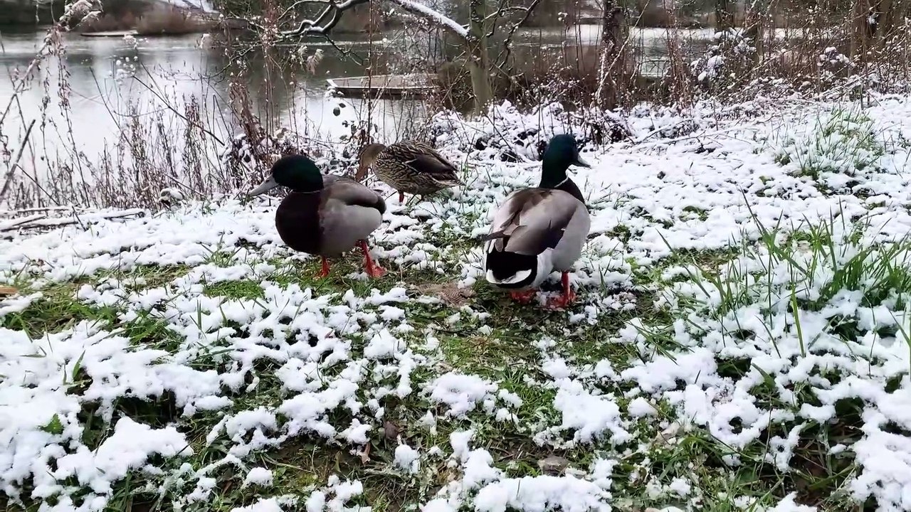 March snow in Lancashire