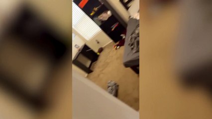 Mother catches her son, 8, cheating on his maths homework with the help of Amazon Alexa