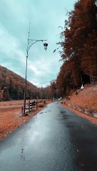 pexels-руслан-хмелевский-5481350.mp4