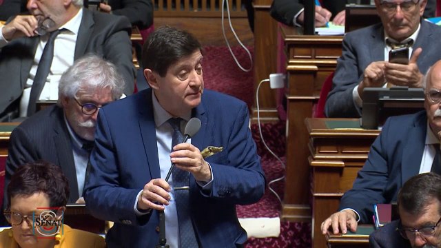 Patrick Kanner réagit à l'utilisation du vote bloqué: Vous avez décidé de montrer au pays vos intentions que je qualifierai de réactionnaires
