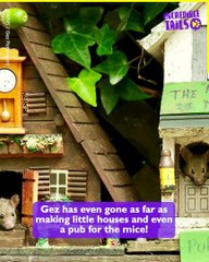 Heartwarming moments with a loving mouse family