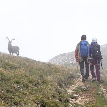 Malgré sa surdité, Arnaud a pour projet de devenir guide de haute montagne