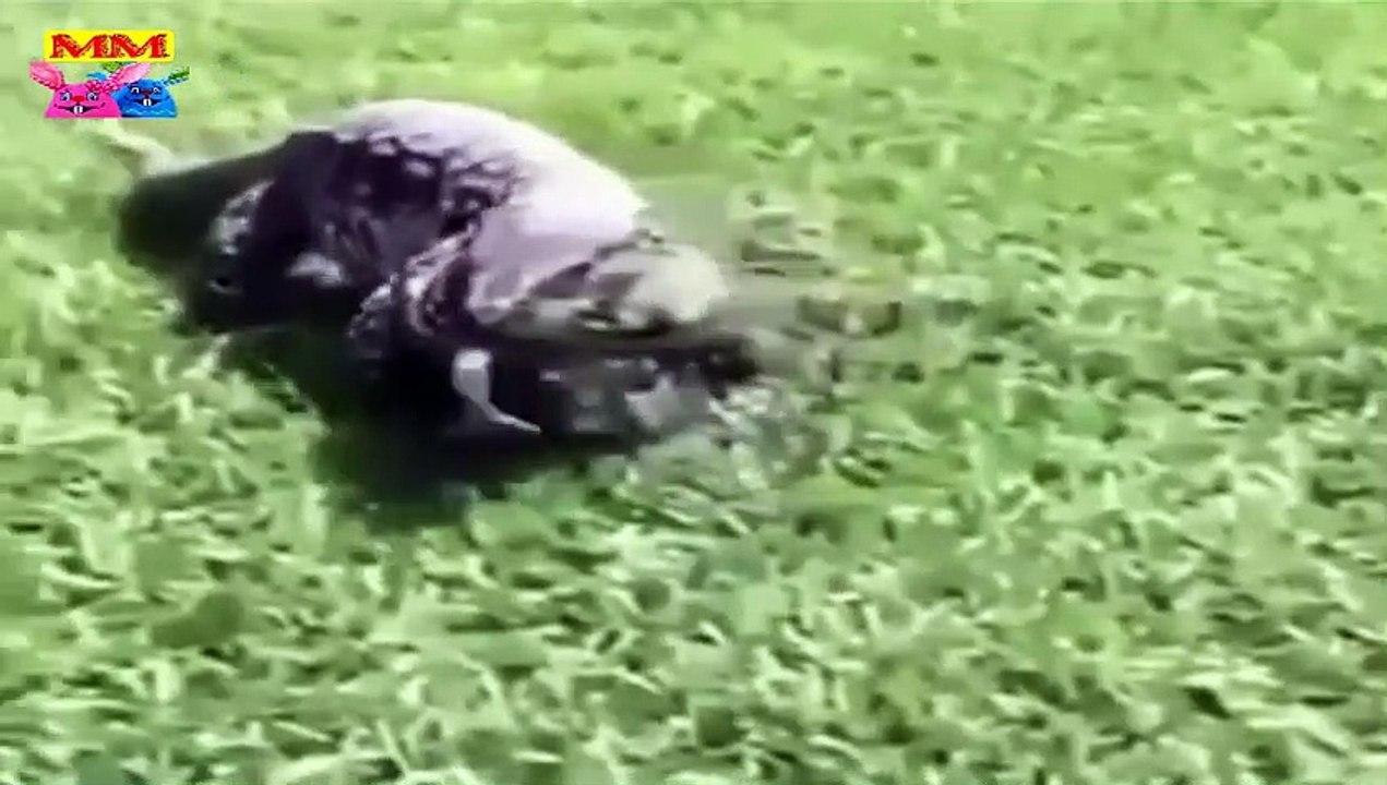 لحظة مثيرة للإعجاب اللعب معًا لا ينتهي أبدًا