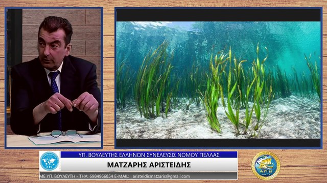 ΑΡΙΣΤΕΙΔΗΣ ΜΑΤΖΑΡΗΣ ΠΕΦΤΟΥΝ ΤΑ ΛΙΠΑΣΜΑΤΑ_2023 03 10_05 56 35_1_723